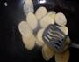 菜椒炒土豆片的做法图解4