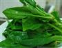 菠菜面的做法图解1