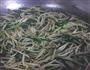 醋溜豆芽的做法图解4