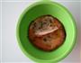 饺子皮饼的做法图解5