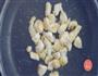 咸鱼鸡粒炒饭的做法图解1