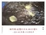 手打马鲛鱼丸子的做法图解10