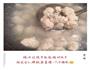 手打马鲛鱼丸子的做法图解15