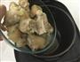 香菇黄豆炖猪蹄的做法图解6
