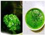 芹菜叶鸡蛋饼-惊艳了时光的做法图解1