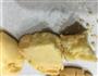 玛格丽特饼干，酥出新高度的做法图解14