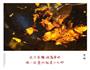 酱烧热干面的做法图解10