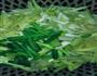 素韭菜炒肉丝的做法图解1