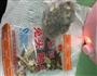 寝室简易版卤鸡爪的做法图解2