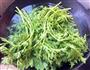 麻酱茼蒿的做法图解2