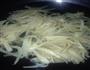 千张拌药芹的做法图解3