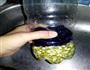 可乐瓶种绿豆芽的做法图解7