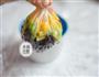 芒果花米袋的做法图解7