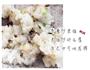 钱袋蛋包饭的做法图解1