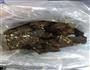 胡萝卜牛肉干粥的做法图解5