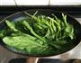 菠菜豆干拌蛋皮的做法图解8