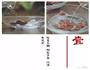 补肾板栗鸡的做法图解1