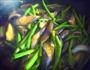 茄子烧豆角的做法图解3