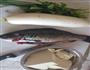 鲫鱼萝卜豆腐汤的做法图解1
