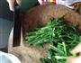 小白菜粉条的做法图解1