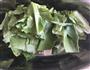豆豉鲮鱼油麦菜的做法图解2