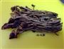 茶树菇炖鸡的做法图解6