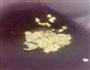 木耳炒黄花菜的做法图解3