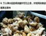 家常大盘鸡的做法图解6