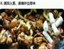 家常大盘鸡的做法图解8