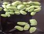 熏青豆 简单的传统江南美味小吃的做法图解1