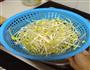 酸辣黄豆芽的做法图解1