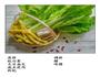杭白天目笋的做法图解1