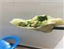 猪肉韭菜饺子的做法图解6