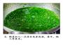 荠菜茨菰的做法图解5