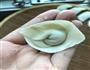 宝宝辅食 馄炖的做法图解3