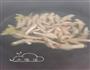 麻油蒜香白云鸡爪的做法图解2