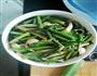 蒜苔炒白玉菇的做法图解4