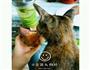 钻石奇异果青柠水+烤红薯、强效排毒餐的做法图解7