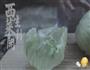椰盅竹丝鸡的做法图解10