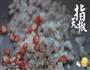 椰盅竹丝鸡的做法图解18