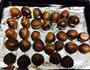 烤箱版糖炒栗子的做法图解3