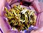 瘦身的绿茶茉莉酵素饮的做法图解1