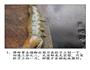 圆鼓鼓的元宝虾的做法图解2