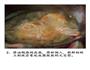圆鼓鼓的元宝虾的做法图解3