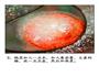 圆鼓鼓的元宝虾的做法图解4