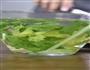 夏天吃凉拌腐竹 现在吃呛拌腐竹的做法图解5