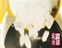 黑芝麻糊的做法图解4
