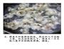 醋鱼的做法图解4
