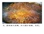 醋鱼的做法图解7