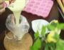 奶酪芝士球的做法图解6
